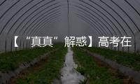 【“真真”解惑】高考在即，这几个谣言可信不得