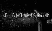 【一方树】板材迎来行业大咖
，共谋发展新篇章