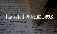 【意大利】机场逃犯被吸进飞机发动机，经过几十个刀片高速旋转和1600度高温，瞬间粉碎（现场图慎点）