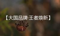 【大国品牌·王者焕新】新工艺�、新展示、新政策