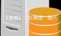 《弟弟》：在美国	
，融入主流是华裔少年的唯一选择吗？