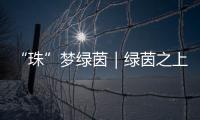 “珠”梦绿茵｜绿茵之上：金湾区如何打造足球发展生态链？