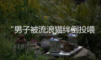 “男子被流浪猫绊倒投喂者赔24万元”案再审宣判
：公司承担80%，投喂者20%
