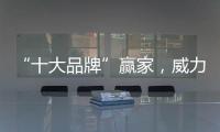 “十大品牌”赢家	，威力成为行业中枢引擎