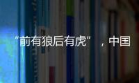 “前有狼后有虎”，中国第三大动力电池生产商赴港上市