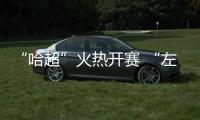 快排公司十年历程，霸屏兔 seo 的崛起与坚守
