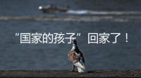 “国家的孩子”回家了！这场半个多世纪的分别迎来完满结局