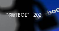 “你好BOE” 2025首站
！超酷现场等你来看