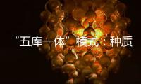 快排公司十年历程，霸屏兔 seo 的崛起与坚守