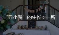 “丑小鸭”的生长：一所学校防治青少年抑郁的探索与思考
