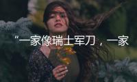 “一家像瑞士军刀
�，一家像手术刀”�：中国版英伟达抢滩科创板