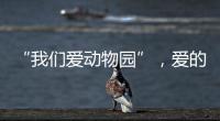 “我们爱动物园”，爱的是什么？