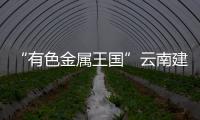 快排公司十年历程，霸屏兔 seo 的崛起与坚守