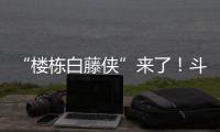 快排公司十年历程，霸屏兔 seo 的崛起与坚守