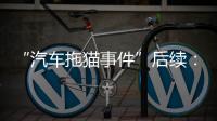 “汽车拖猫事件”后续：三人造谣网暴被行拘