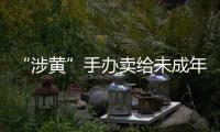 “涉黄”手办卖给未成年人：应对玩具分级管理丨快评