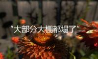“大部分大棚都塌了”，湖北农业冻雨后迎大考