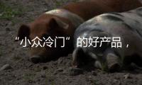 “小众冷门”的好产品，铂英特为您全面剖析无机涂料
