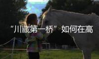 “川藏第一桥”如何在高地震烈度区和“12级大风”中屹立？