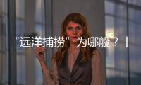 “远洋捕捞”为哪般？丨法眼