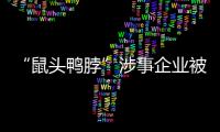 快排公司十年历程，霸屏兔 seo 的崛起与坚守
