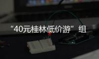 快排公司十年历程，霸屏兔 seo 的崛起与坚守