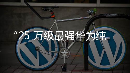 定位“华系家用纯电 SUV”