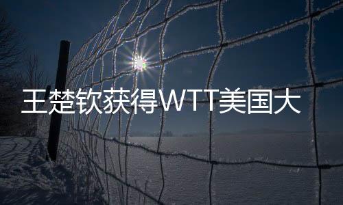 王楚王楚钦对阵张本智和