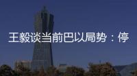 王毅谈当前巴以局势：停火止暴是当务之急