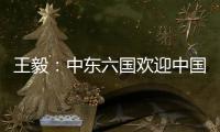 王毅：中东六国欢迎中国在中东事务发挥更大作用