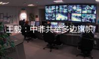 王毅
：中非共举多边旗帜，发出正义之声