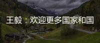 王毅：欢迎更多国家和国际组织加入“支持非洲发展伙伴倡议”