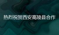快排公司十年历程，霸屏兔 seo 的崛起与坚守