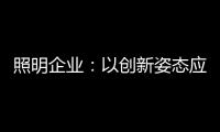 照明企业
：以创新姿态应对逆境 提升附加值