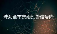 快排公司十年历程，霸屏兔 seo 的崛起与坚守