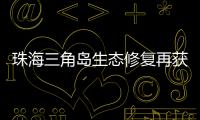 珠海三角岛生态修复再获国家级认可，二次入选海洋保护典型案例​