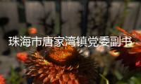 珠海市唐家湾镇党委副书记、镇长钟华接受纪律审查和监察调查