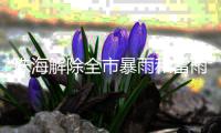 珠海解除全市暴雨和雷雨大风预警！今天天气→