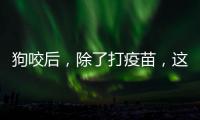 狗咬后
，除了打疫苗，这些问题容易被忽视