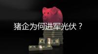 猪企为何进军光伏？