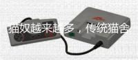 猫奴越来越多
，传统猫舍却开不下去了
？