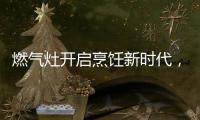 燃气灶开启烹饪新时代，丰蓝1号燃气灶电池赋能美味佳肴