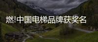 燃!中国电梯品牌获奖名单揭晓，佳登曼电梯上榜