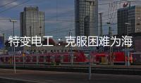 特变电工：克服困难为海 外居民带去福音