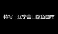 特写：辽宁营口鲅鱼圈市民以积极心态面对疫情