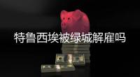 快排公司十年历程，霸屏兔 seo 的崛起与坚守