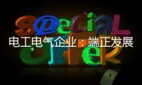 电工电气企业�
：端正发展态度 从长远角度出发