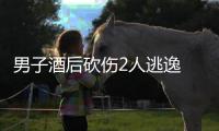 男子酒后砍伤2人逃逸 警方：已抓获归案并刑拘