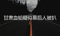 甘肃血铅疑似幕后人被扒，曾获地方女性大奖，与涉事园长关系亲属