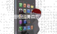 知名橱柜品牌森歌
，做厨房橱柜的时代先行者